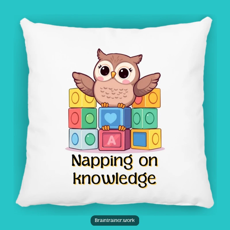Funny Kawaii Owl Blocks Pillow - Cozy & Hilarious Gift for Playful Nappers!